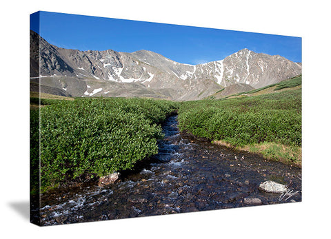 Grays and Torreys