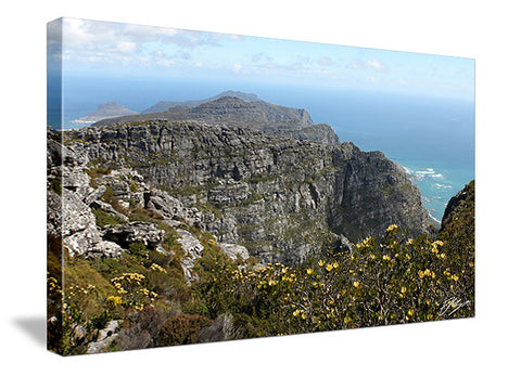 Table Mountain Horizontal